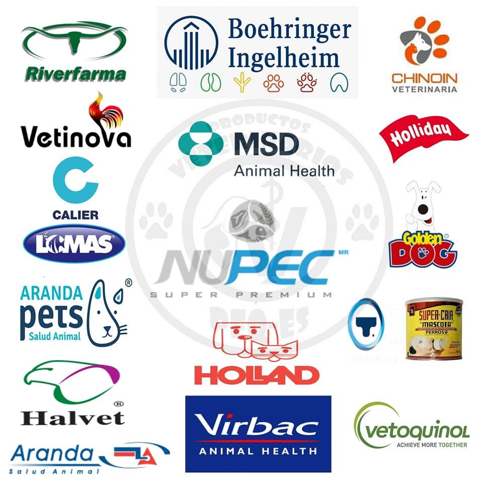 veterinarios